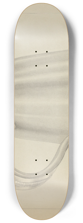 Isidore Steinberg - Silver Tankard 8.25 inch art skate deck