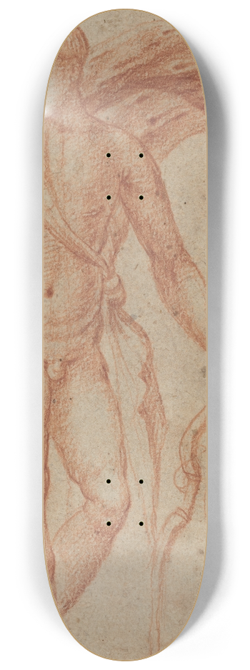 Italian 16th Century - Apollo 8.25 inch art skate deck