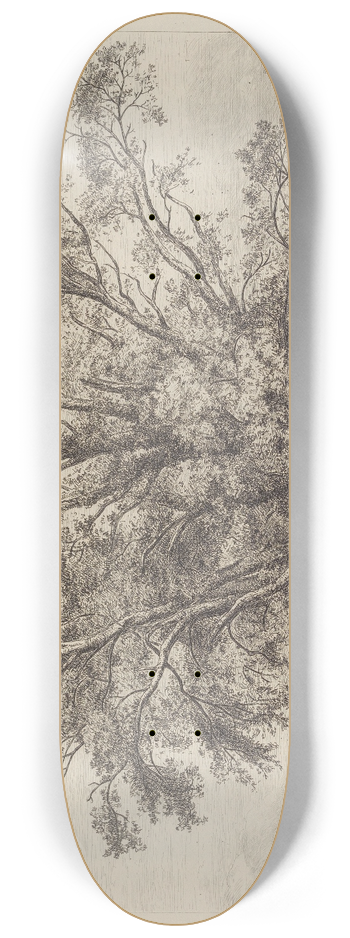 Jacob George Strutt - The Abbots Willow 8.25 inch art skate deck
