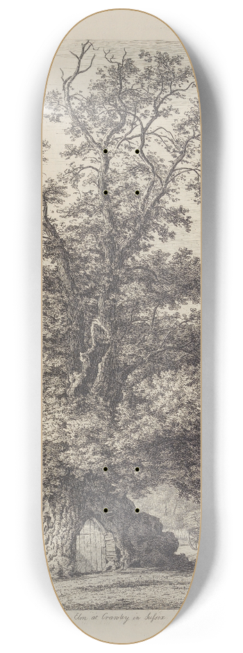Jacob George Strutt - The Crawley Elm 8.25 inch art skate deck