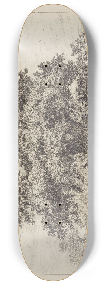 Jacob George Strutt - The Fredville Oak, Beauty 8.25 inch art skate deck