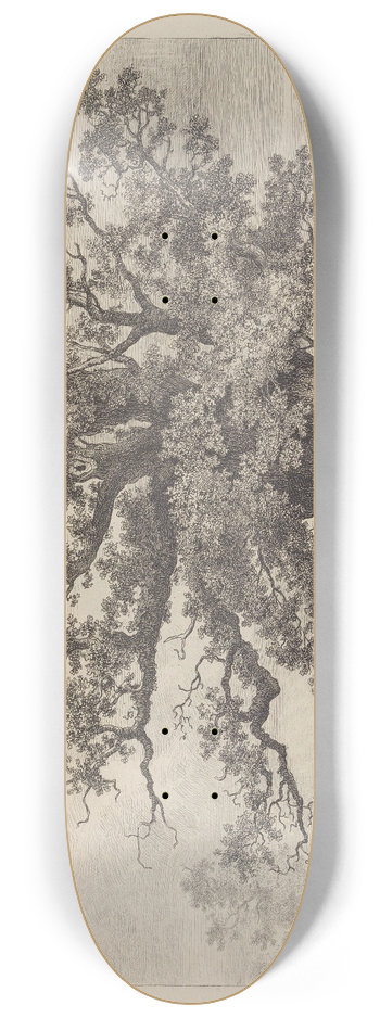 Jacob George Strutt - The Great Oak at Fredville 8.25 inch art skate deck