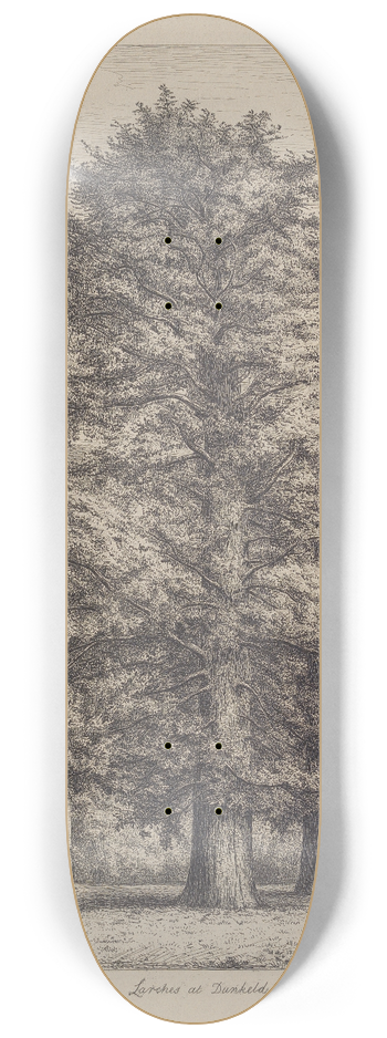 Jacob George Strutt - The Larches at Dunkeld 8.25 inch art skate deck