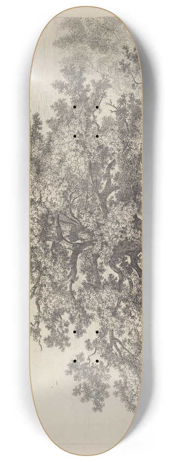 Jacob George Strutt - The Panshanger Oak 8.25 inch art skate deck