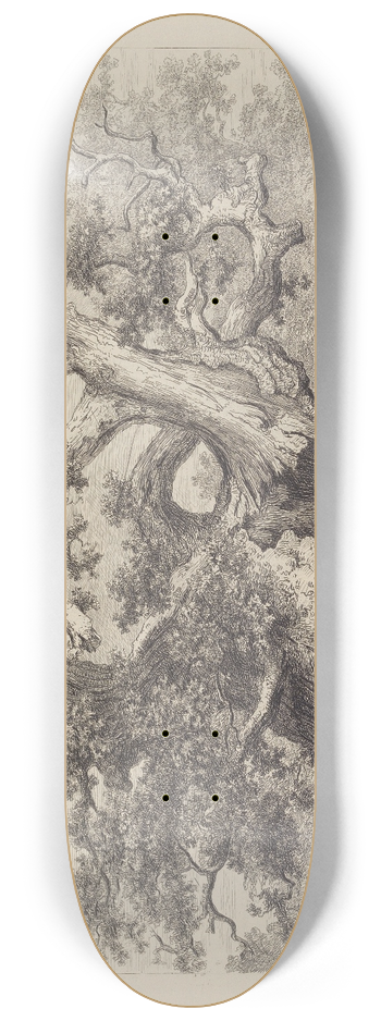 Jacob George Strutt - The Salcey Forest Oak 8.25 inch art skate deck