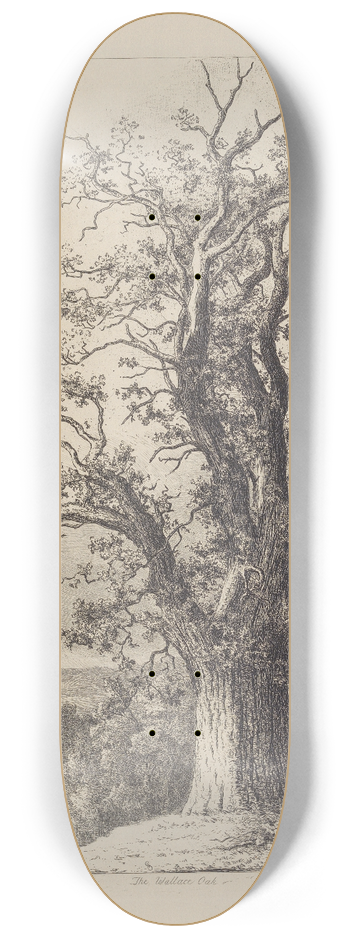 Jacob George Strutt - The Wallace Oak 8.25 inch art skate deck