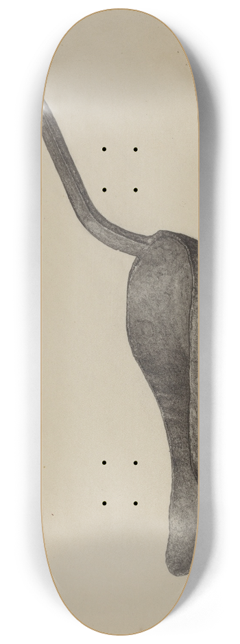 Jacob Lipkin - Slut Lamp 8.25 inch art skate deck