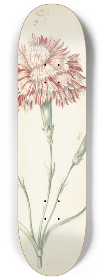 Jacob Marrel - Carnation 8.25 inch art skate deck