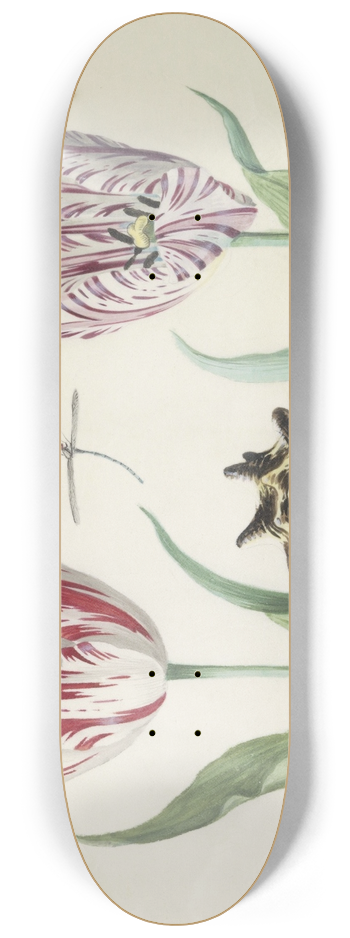 Jacob Marrel - Twee tulpen met schelp, waterjuffer en vlinder 8.25 inch art skate deck