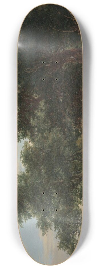 Jacob van Ruisdael - Forest scene 8.25 inch art skate deck