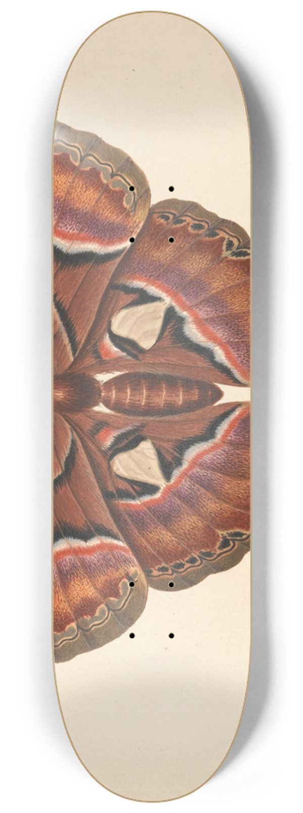 George Edwards - Atlas Moth 8.25 inch art skate deck