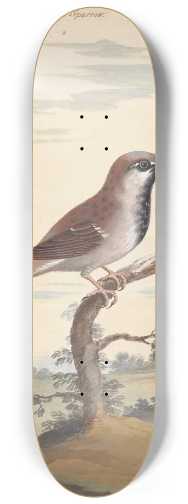 George Edwards - The Cock Sparrow 8.25 inch art skate deck