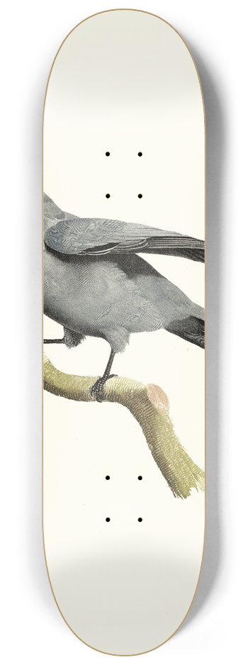 Jacques Barraband - Le Rollier  masque noir. 8.25 inch art skate deck