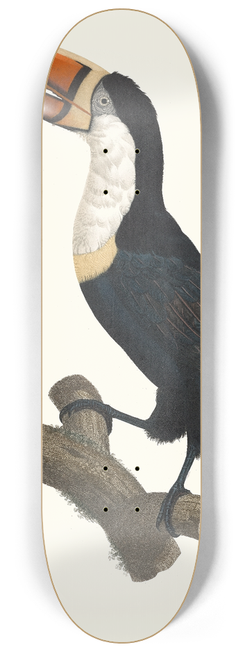 Jacques Barraband - Le Tocan  Collier jaune. 8.25 inch art skate deck