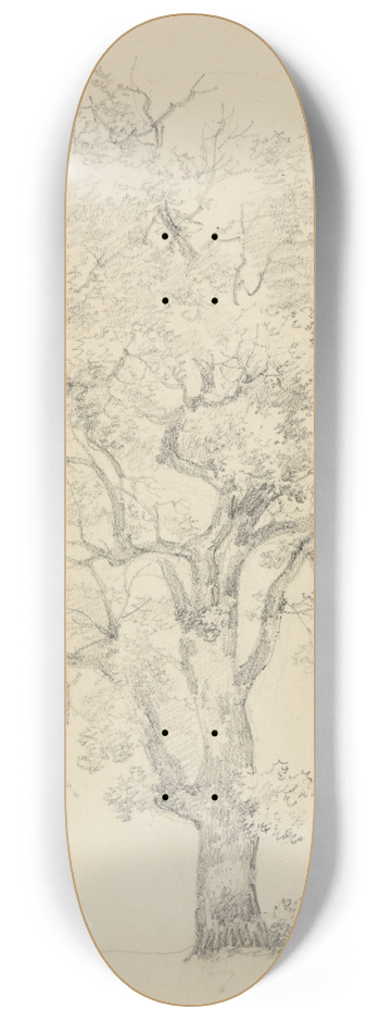 Jacques-Raymond Brascassat - tude darbre.. 8.25 inch art skate deck