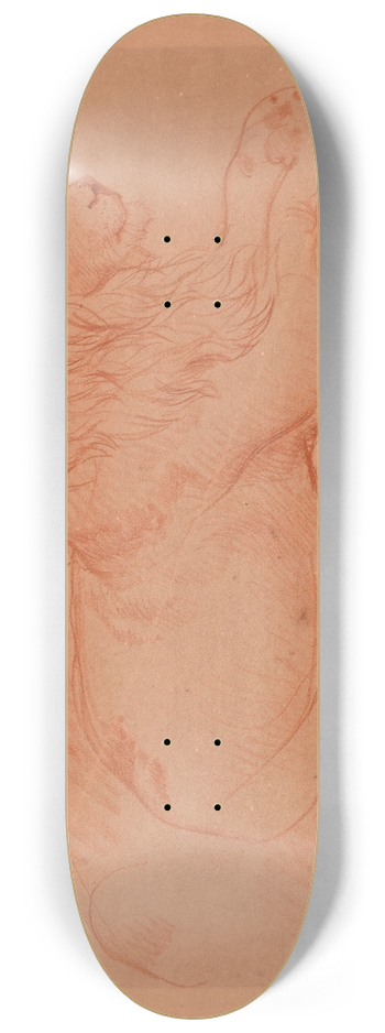 Jacques-Raymond Brascassat - tude de lion couch 8.25 inch art skate deck