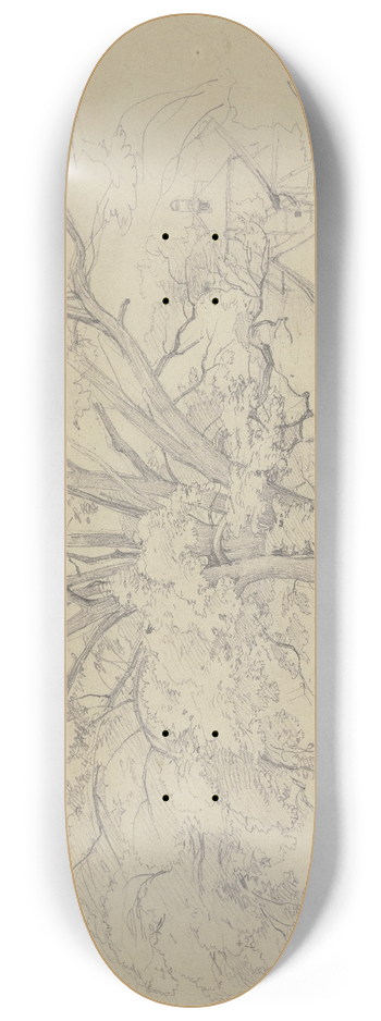 Jakob Becker - Alter Baum an einer Strae in Remagen 8.25 inch art skate deck