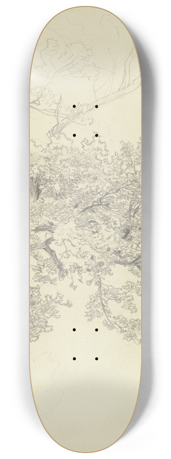 Jakob Becker - Treetop and tub 8.25 inch art skate deck