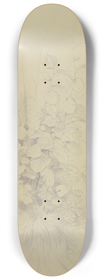 Jakob Becker - Turf 8.25 inch art skate deck