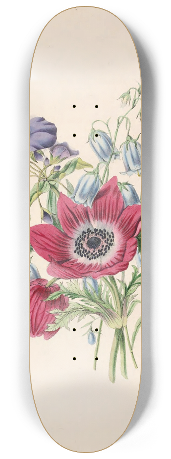 James Ackerman - Anemone,Harebell,Spiderwort 8.25 inch art skate deck