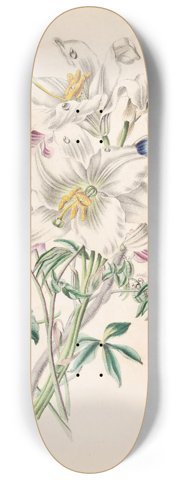 James Ackerman - Columbine, White Lily And Lupine 8.25 inch art skate deck