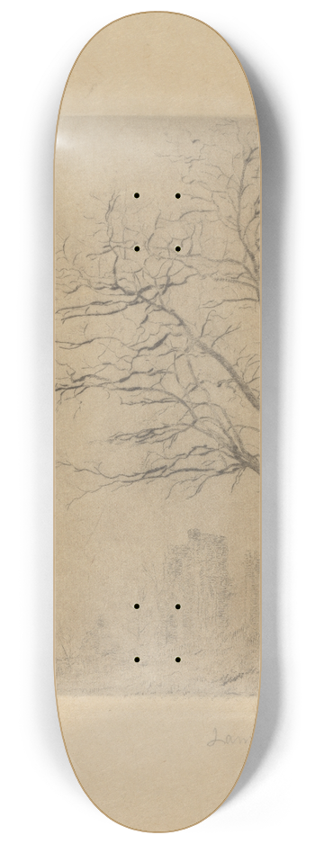 James Ensor - Acacia 8.25 inch art skate deck