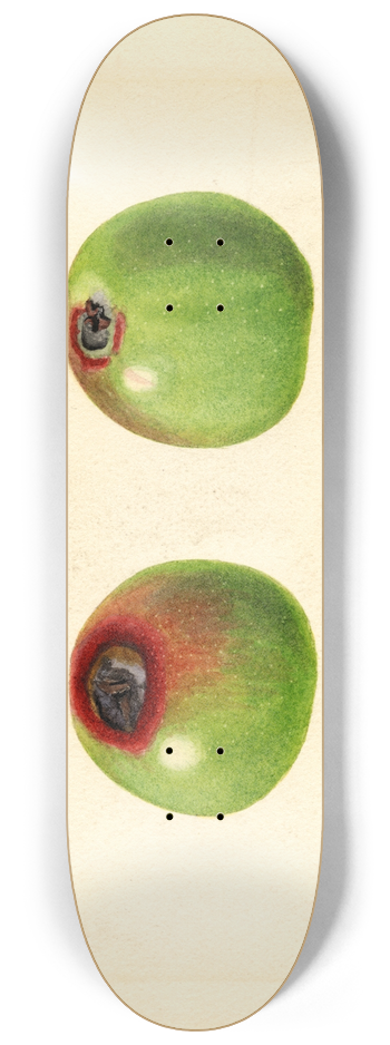 James Marion Shull - Malus domestica 8.25 inch art skate deck