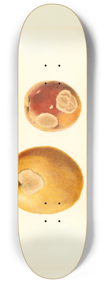 James Marion Shull - Prunus persica 8.25 inch art skate deck