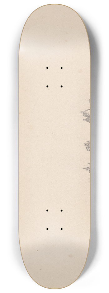 James Moore - Linlithgow Palace, West Lothian, Scotland 8.25 inch art skate deck