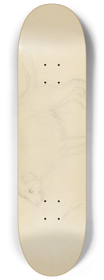James Sowerby - A Dog 2 8.25 inch art skate deck