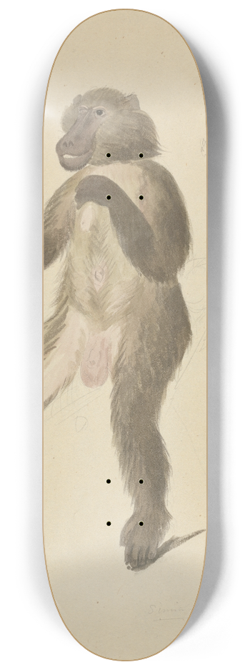 James Sowerby - A mandrill 8.25 inch art skate deck