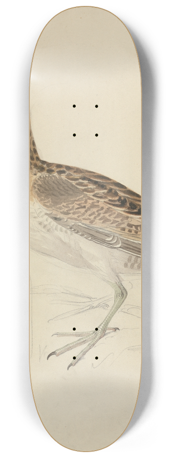 James Sowerby - A Snipe 8.25 inch art skate deck