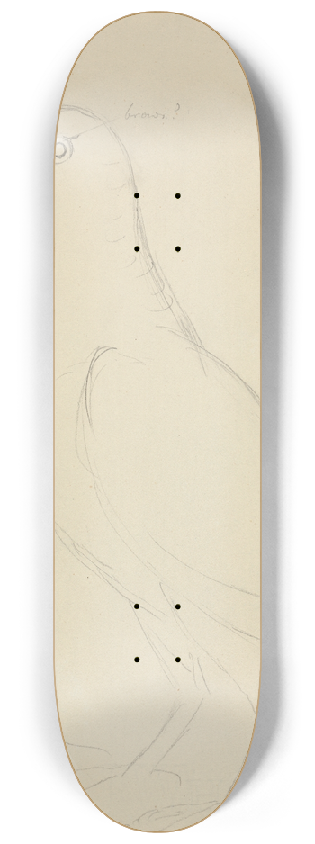 James Sowerby - Eurasian Woodcock 8.25 inch art skate deck