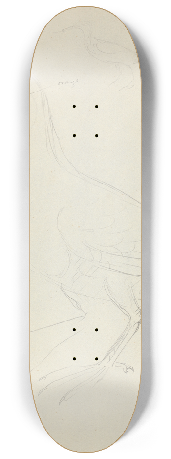 James Sowerby - Two Woodcocks 8.25 inch art skate deck