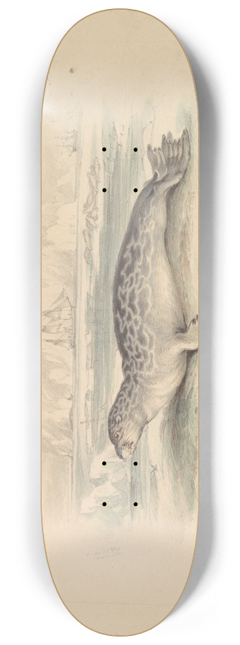 James Stewart - The Ringed Seal 8.25 inch art skate deck