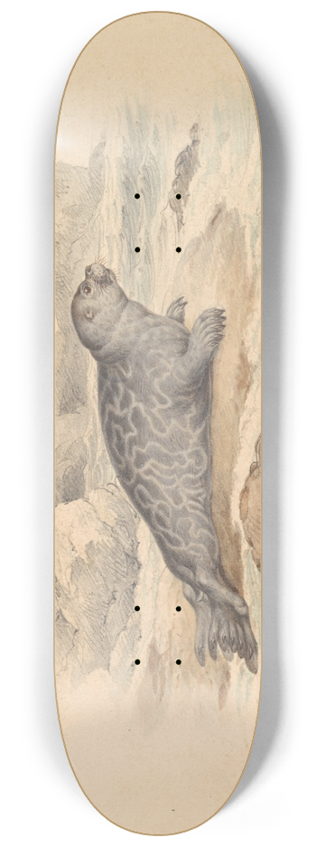 James Stewart - The Ringed Seal 8.25 inch art skate deck