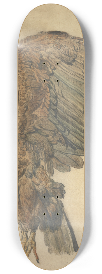 James Ward - Study of a Plunging Eagle 8.25 inch art skate deck