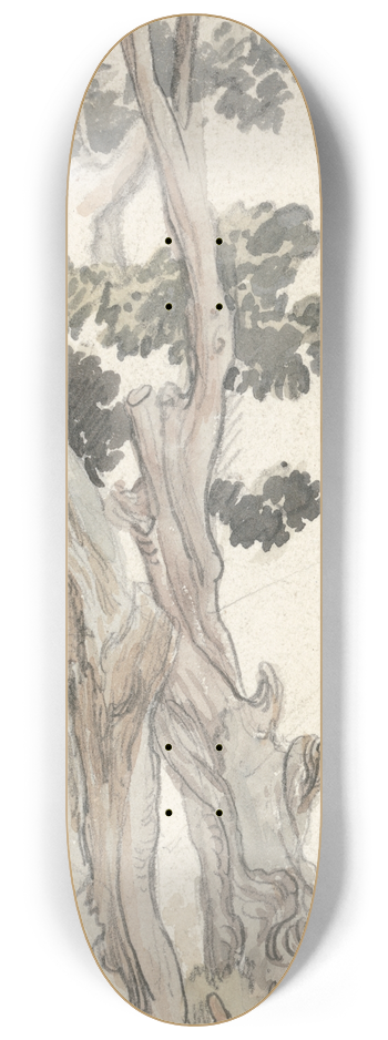 James Ward - Study of a Tree 8.25 inch art skate deck