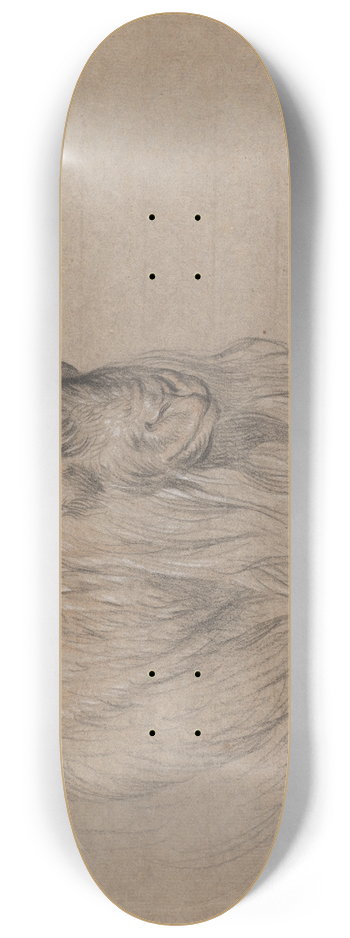 James Ward - Study of the Head of a Ram 8.25 inch art skate deck