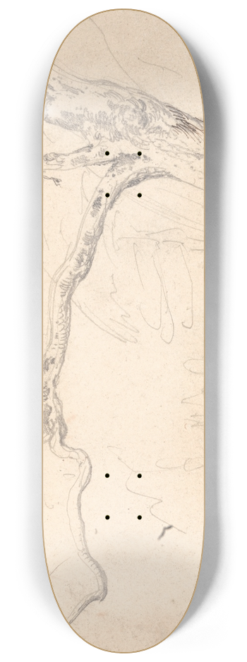 James Ward - Tree Study 8.25 inch art skate deck