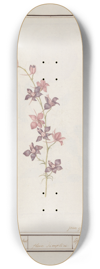 Jan Anton Garemyn - Ridderspoor (Consolida) 8.25 inch art skate deck