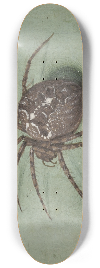 Jan Augustin van der Goes - Spin 8.25 inch art skate deck