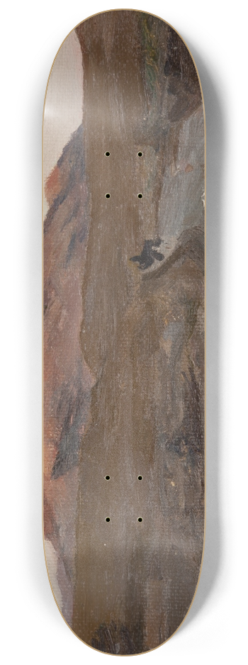 Jan Cigliski - Sudak 2 8.25 inch art skate deck