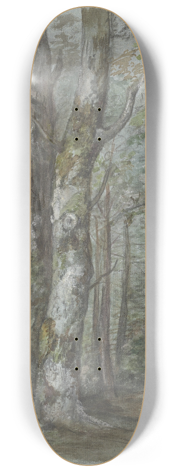 Jan Dasveldt - Boomstudie 8.25 inch art skate deck