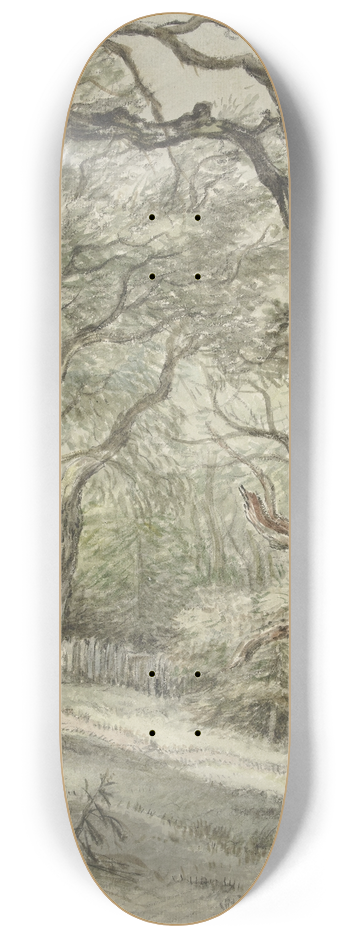 Jan Hulswit - Bosgezicht 8.25 inch art skate deck