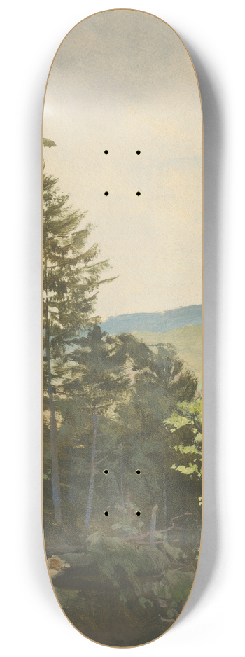 Jan Nowopack - Scrub Hill 8.25 inch art skate deck