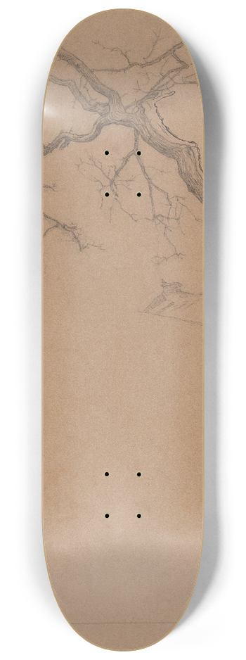 Jan Veth - Studie van een kale boom 8.25 inch art skate deck
