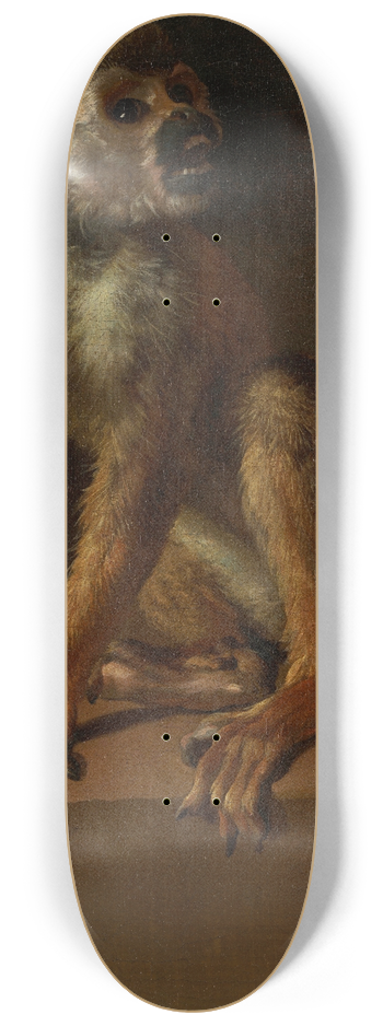 Jan Weenix - A Seated Monkey 8.25 inch art skate deck