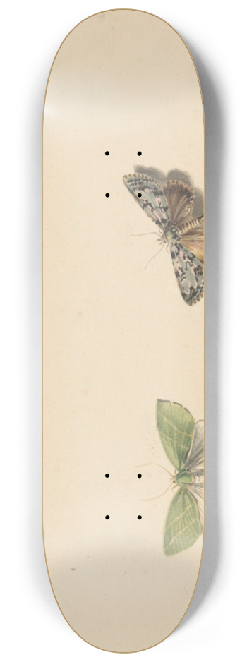Jan Weissenbruch - Vier vlinders 8.25 inch art skate deck