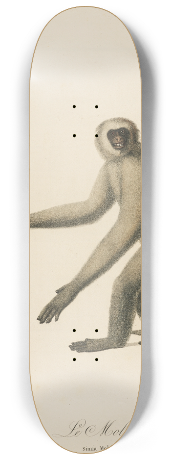 Jean-Baptiste Audebert - Le Moloch 8.25 inch art skate deck